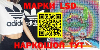 стаф Нальчик