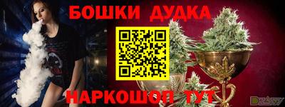 стаф Нальчик