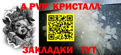 стаф Нальчик