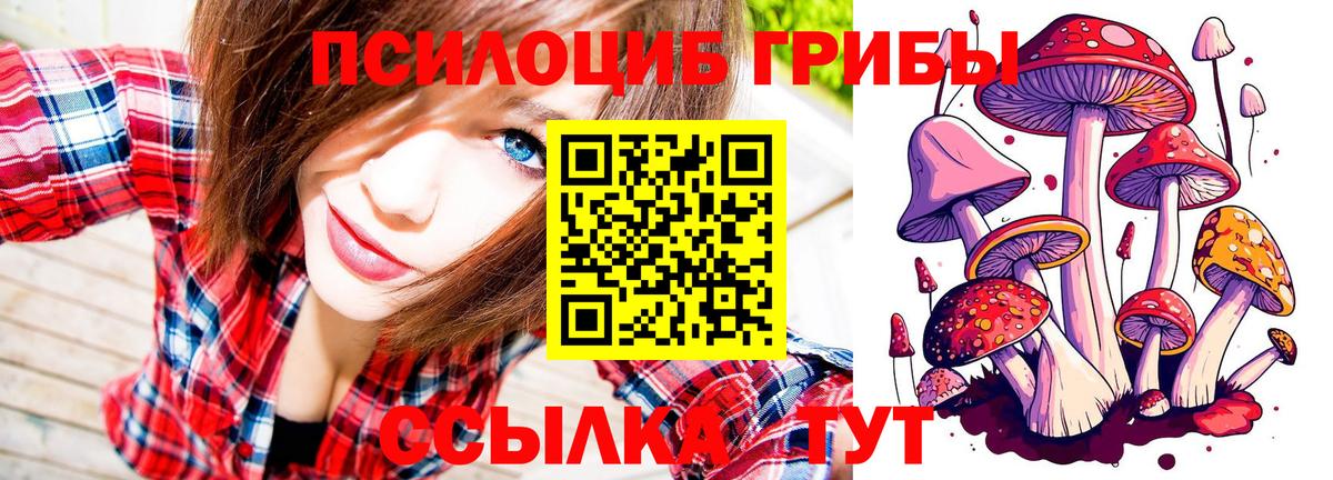 Галлюциногенные грибы Cubensis  Вход с VPN  Удомля 