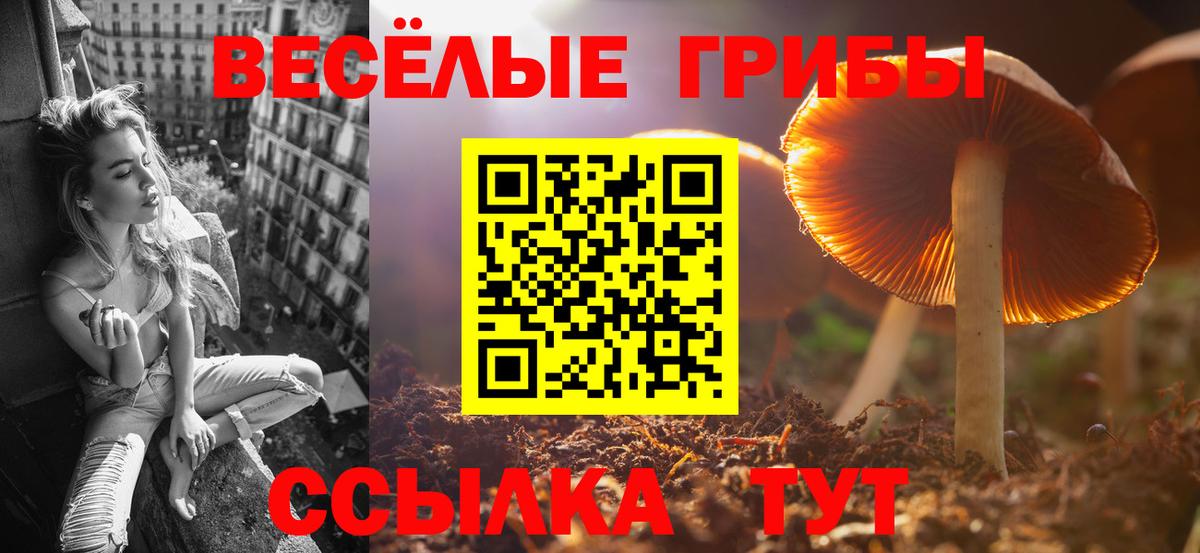 Псилоцибиновые грибы мицелий Удомля
